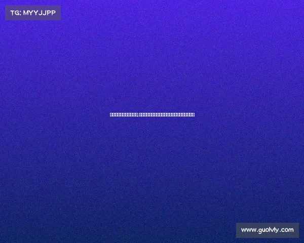 国际汽车联合会顶级比赛,国际汽车主要赛事全球焦点锦标赛精彩回顾与前瞻